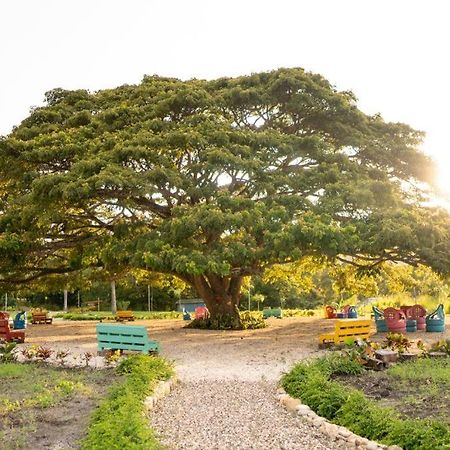 Hacienda La Huerta, Puerto Plata 빌라 외부 사진