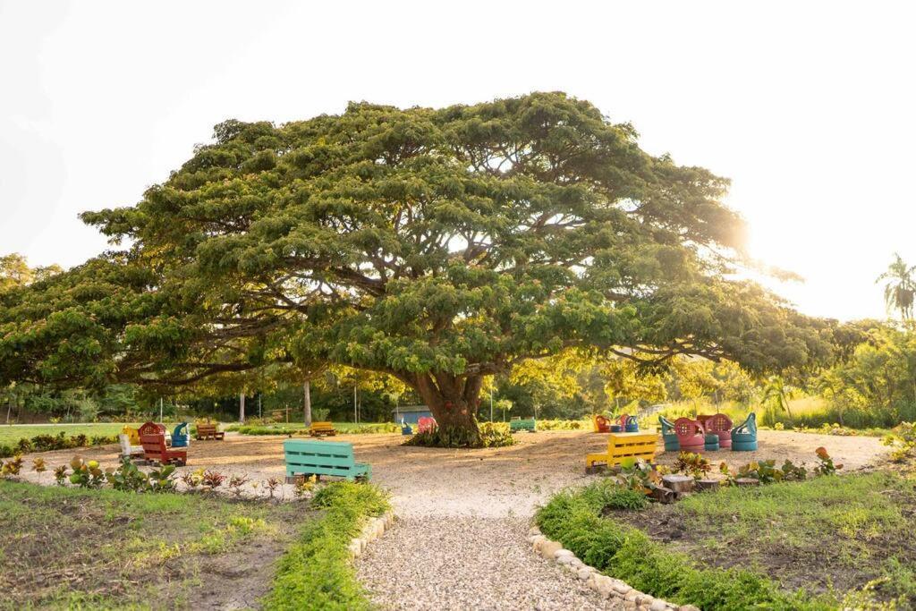 Hacienda La Huerta, Puerto Plata 빌라 외부 사진